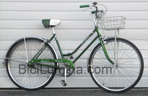 Schwinn Breeze ficha técnica y opiniones